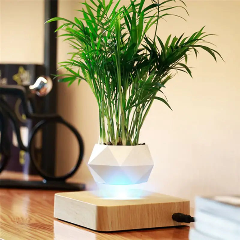 Magic Floating Flower Pot